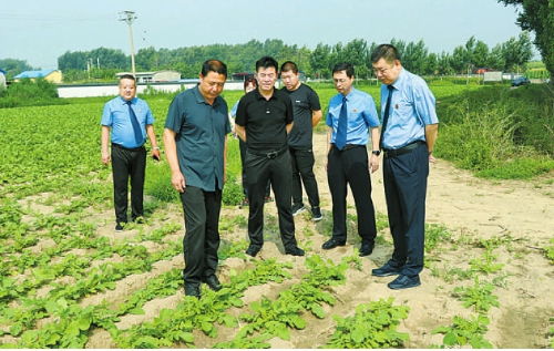 雙遼 廢棄農(nóng)膜殘留田間 合力清理保護(hù) 金飯碗