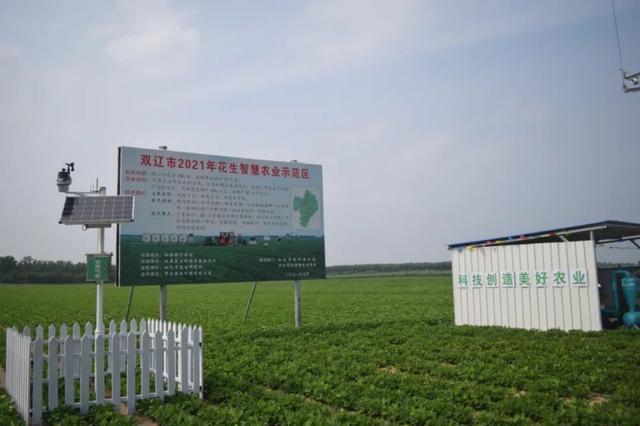 積極引進(jìn)玉米,雜糧雜豆等精深加工項(xiàng)目,打造農(nóng)產(chǎn)品加工產(chǎn)業(yè)鏈,提升農(nóng)