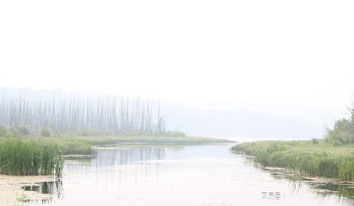 雙遼市, 位于吉林省東南部, 是全國農(nóng)業(yè)綜合開發(fā)重點縣