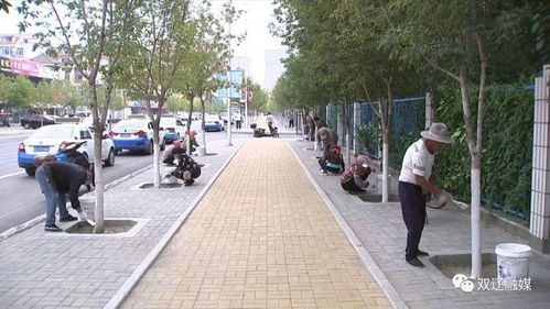 雙遼市公共事業(yè)服務(wù)中心 多措并舉精細完善 提升市容環(huán)境